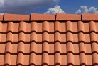 Hartys Plainsroof-conversions-4.jpg; ?>